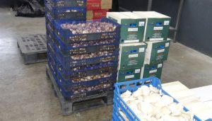 Continúan creciendo las exportaciones de la provincia de Cuenca aunque se resienten alimentos y bebidas