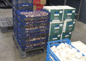 Las exportaciones de productos conquenses acusan la situación internacional, aunque crecen de manera global