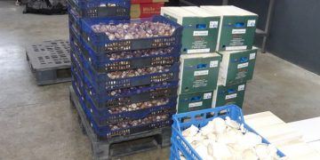 Continúan creciendo las exportaciones de la provincia de Cuenca aunque se resienten alimentos y bebidas