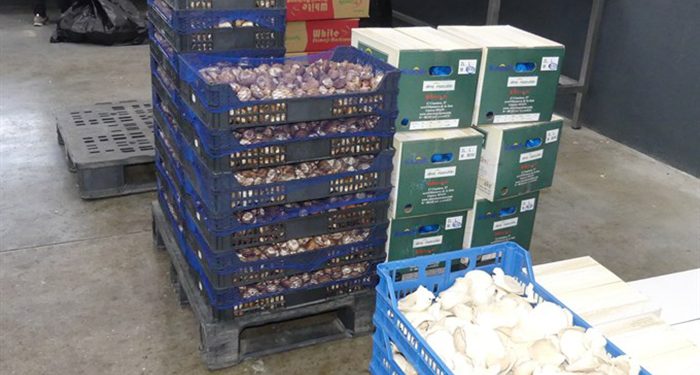 Continúan creciendo las exportaciones de la provincia de Cuenca aunque se resienten alimentos y bebidas