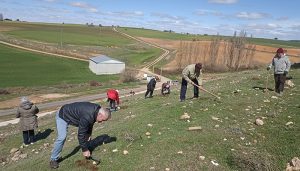 El Ayuntamiento de Chumillas y UAPE, Equipo Europa CLM planta un árbol por Europa