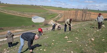 El Ayuntamiento de Chumillas y UAPE, Equipo Europa CLM planta un árbol por Europa