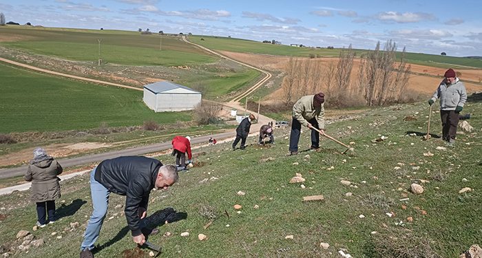 El Ayuntamiento de Chumillas y UAPE, Equipo Europa CLM planta un árbol por Europa