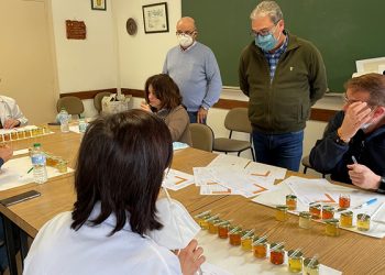 El Centro de Investigación Apícola de Marchamalo acoge la cata de las mieles que se presentan a los premios ´Gran Selección Campo y Alma´