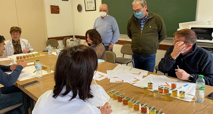 El Centro de Investigación Apícola de Marchamalo acoge la cata de las mieles que se presentan a los premios ´Gran Selección Campo y Alma´