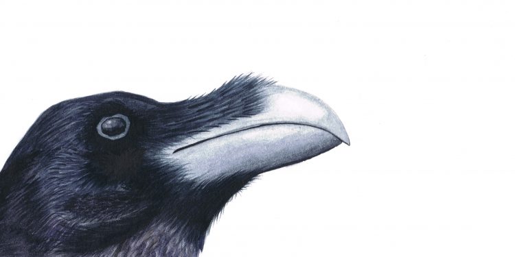 Exposición benéfica de la Escuela de Arte Elena de la Cruz en el hall del Centro San José 1 exposicion benefica flora y fauna de la palma