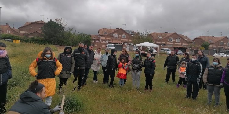 Villanueva de la Torre, la Fundación FDI y Orange comparten una jornada de reforestación inclusiva con personas con discapacidad 1 Villanueva de la Torre, la Fundación FDI y Orange comparten una jornada de reforestación inclusiva con personas con discapacidad