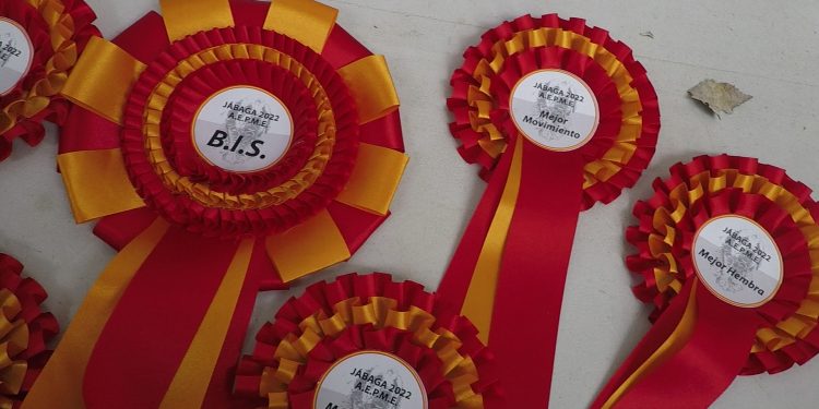 48 mastines, bajo la lluvia de Jábaga, protagonizan una jornada inolvidable.