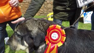 gopr257500 10 16 26imagen fija016