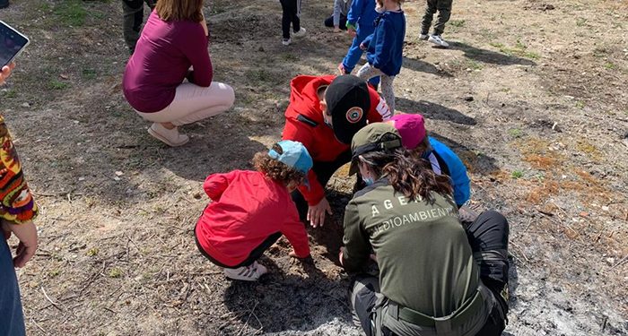 La Diputación de Cuenca ayudará a 78 ayuntamientos en la organización de actividades para mejorar el medio ambiente