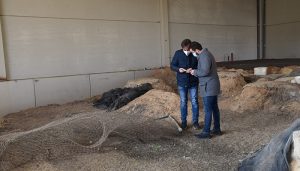 La Diputación de Cuenca colabora con el Ayuntamiento de Iniesta y la Junta en la musealización del yacimiento Punta del Barrionuevo