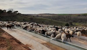 La Diputación de Guadalajara subvenciona a 23 ayuntamientos la inversión en nuevas infraestructuras agrarias de uso común