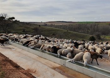 La Diputación de Guadalajara subvenciona a 23 ayuntamientos la inversión en nuevas infraestructuras agrarias de uso común