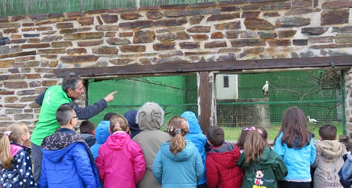 La Junta diseña un completo programa de actividades de ‘Educación Ambiental’ en primavera, repleto de novedades