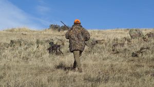 La Junta inicia la información pública de la Orden que fija los períodos hábiles de caza y las vedas para la temporada cinegética