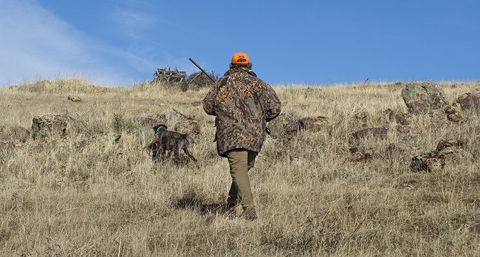 La Junta inicia la información pública de la Orden que fija los períodos hábiles de caza y las vedas para la temporada cinegética