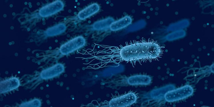 La UCLM avanza posiciones en el ‘ranking’ SCImago hasta situarse la 655 del mundo 1 La UCLM avanza posiciones en el ‘ranking’ SCImago hasta situarse la 655 del mundo