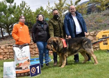 Castilla-La Mancha considera que la Ley de Bienestar Animal invade competencias autonómicas y “rezuma desconfianza” hacia el modo de vida del medio rural Castilla-La Mancha considera que la Ley de Bienestar Animal invade competencias autonómicas y “rezuma desconfianza” hacia el modo de vida del medio rural