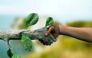 ¿Se puede vivir sin plástico Te lo cuentan los Amigos de los Ríos de Cuenca en el MUPA