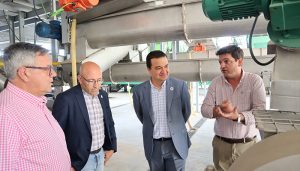 Castilla-La Mancha incrementa en un 17 por ciento la superficie de girasol en esta campaña haciendo uso del barbecho para afrontar la guerra de Ucrania