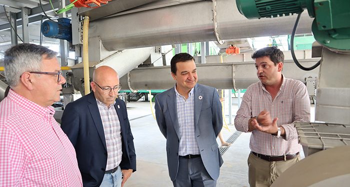 Castilla-La Mancha incrementa en un 17 por ciento la superficie de girasol en esta campaña haciendo uso del barbecho para afrontar la guerra de Ucrania