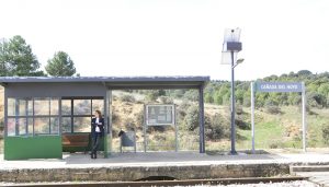 Ciudadanos critica el conchaveo entre Page y el Ministerio para abandonar la vía ferroviaria y el tren de Cuenca