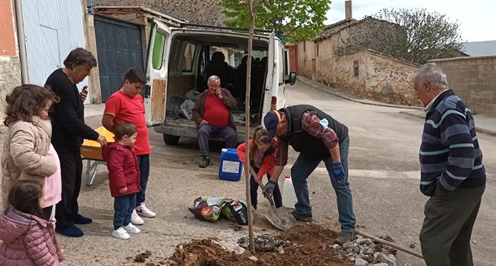 El ayuntamiento de Albendea se suma a la plantación de un Árbol por Europa