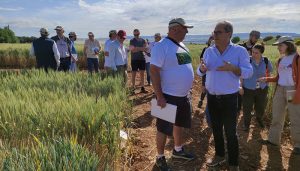 El Centro de Investigación Apícola y Agroambiental de Marchamalo abre sus puertas a profesionales de la provincia para informar de sus investigaciones