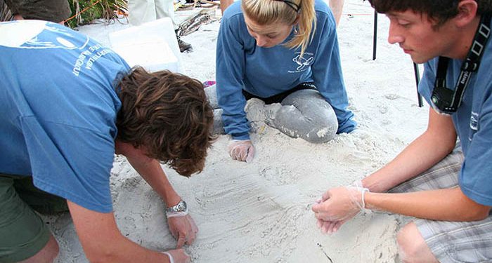 El ‘Programa Investigo’ llega a la UCLM para formar a 40 jóvenes en materia de investigación e innovación 1 El ‘Programa Investigo’ llega a la UCLM para formar a 40 jóvenes en materia de investigación e innovación