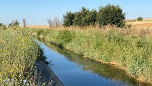 Encuentran el cuerpo de una mujer en el Canal del Henares en Cabanillas