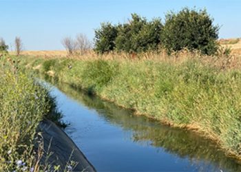 Encuentran el cuerpo de una mujer en el Canal del Henares en Cabanillas