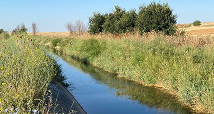 Encuentran el cuerpo de una mujer en el Canal del Henares en Cabanillas
