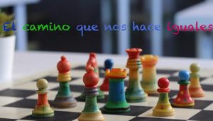 Estudiantes del IESO Publio López Mondéjar de Casasimarro, ganadores absolutos en la Categoría C del Concurso Escolar de la ONCE