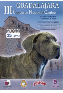 Guadalajara acoge este fin de semana el Campeonato del Mundo de raza canina Boxer con la presencia de más de 400 expositores y público de toda Europa