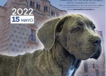 Guadalajara acoge este fin de semana el Campeonato del Mundo de raza canina Boxer con la presencia de más de 400 expositores y público de toda Europa