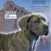 Guadalajara acoge este fin de semana el Campeonato del Mundo de raza canina Boxer con la presencia de más de 400 expositores y público de toda Europa 3 Guadalajara acoge este fin de semana el Campeonato del Mundo de raza canina Boxer con la presencia de más de 400 expositores y público de toda Europa