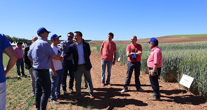 Jornada de puertas abiertas en Albaladejito