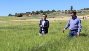 Jornada de puertas abiertas en Albaladejito