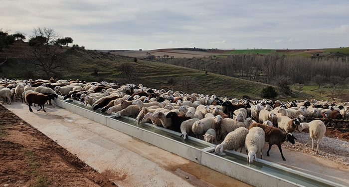 La Diputación de Guadalajara subvenciona nuevas infraestructuras agrarias a asociaciones de Angón, Atienza y Mondéjar