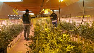 La Guardia Civil de Cuenca desmantela dos plantaciones de marihuana “indoor” en la localidad de Casasimarro