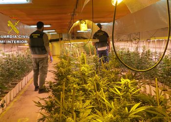La Guardia Civil de Cuenca desmantela dos plantaciones de marihuana “indoor” en la localidad de Casasimarro