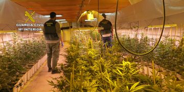 La Guardia Civil de Cuenca desmantela dos plantaciones de marihuana “indoor” en la localidad de Casasimarro