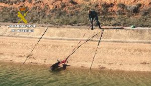 La Guardia Civil de Cuenca rescata un corzo que había caído al canal del trasvase Tajo-Segura