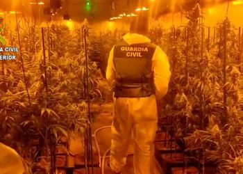 La Guardia Civil desmantela dos plantaciones de marihuana en Mesones y en Uceda 10 La Guardia Civil desmantela dos plantaciones de marihuana en Mesones y en Uceda