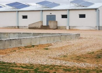 La Justicia considera clandestina la explotación porcina construida en el municipio conquense de Almendros