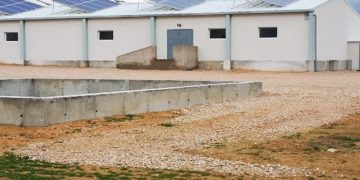 La Justicia considera clandestina la explotación porcina construida en el municipio conquense de Almendros