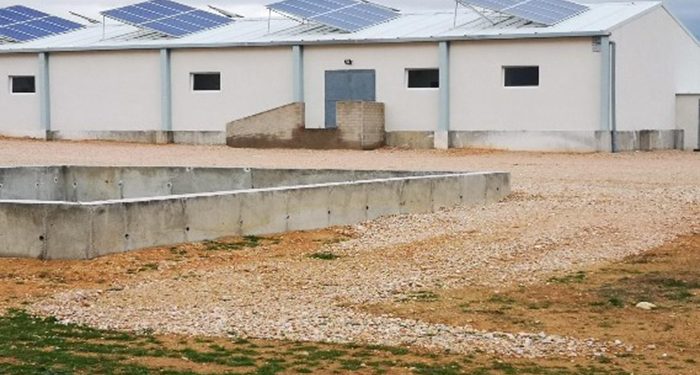 La Justicia considera clandestina la explotación porcina construida en el municipio conquense de Almendros