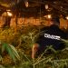 La Policía Nacional desmantela otro grupo criminal dedicado al cultivo de marihuana en Guadalajara y Azuqueca de Henares 3 La Policía Nacional desmantela otro grupo criminal dedicado al cultivo de marihuana en Guadalajara y Azuqueca de Henares