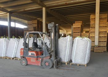 Las exportaciones de los productos conquenses resisten muy bien los problemas generados por la inflación Las exportaciones de los productos conquenses resisten muy bien los problemas generados por la inflación