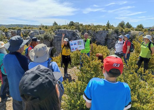 Las Torcas de Lagunaseca y El Tobar acogen el Geolodía 1 Las Torcas de Lagunaseca y El Tobar acogen el Geolodía